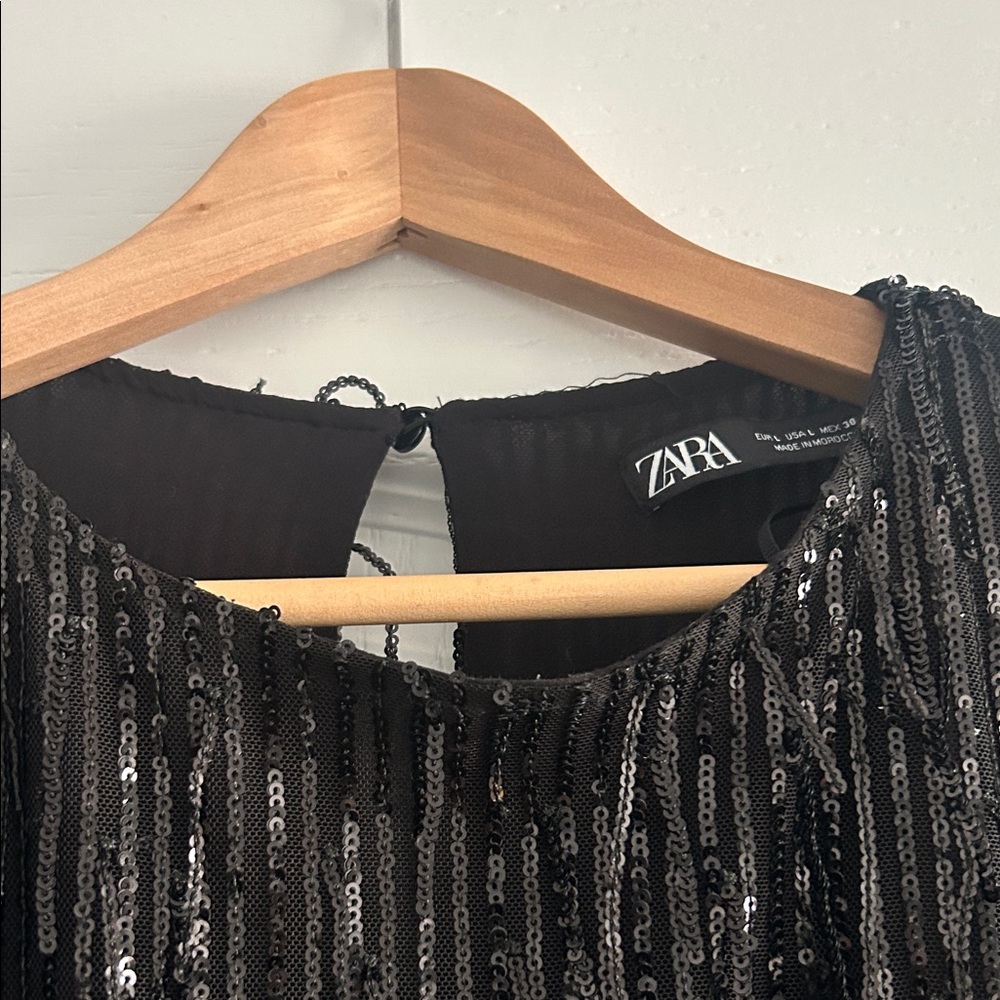 Black Zara Sequin Fringe Dress - Picture 4 of 6
